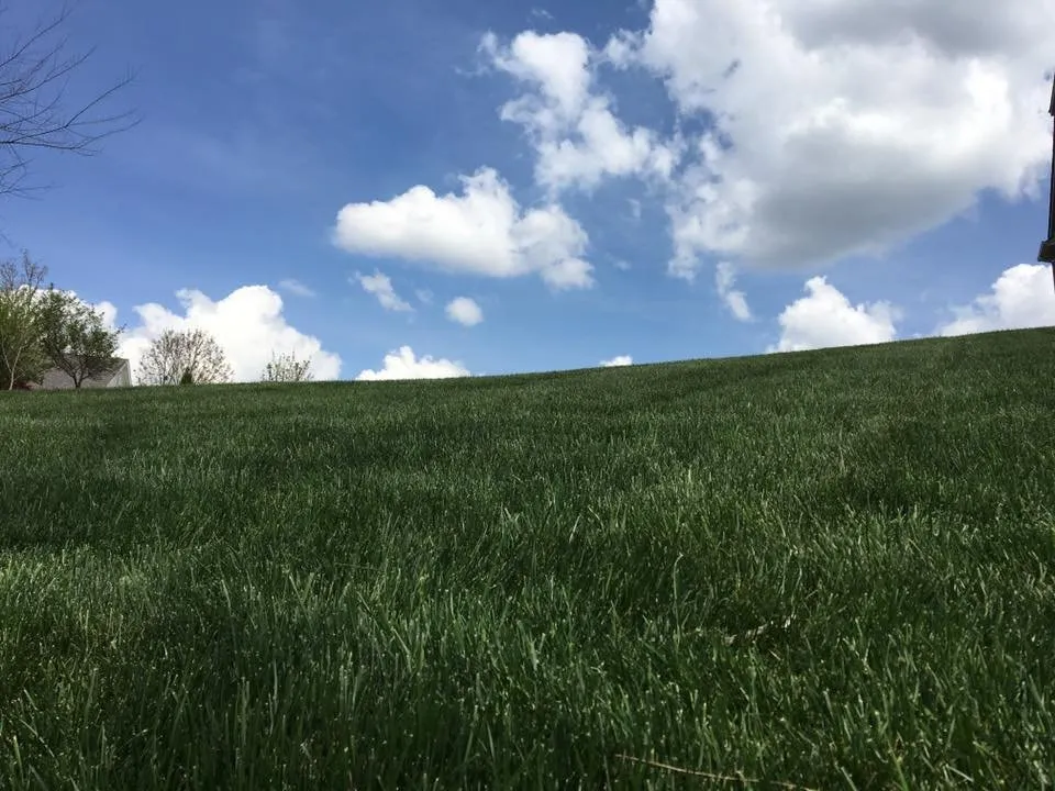 Reliable landscape design experts serving Wentzville, MO - Refresh Outdoor Services