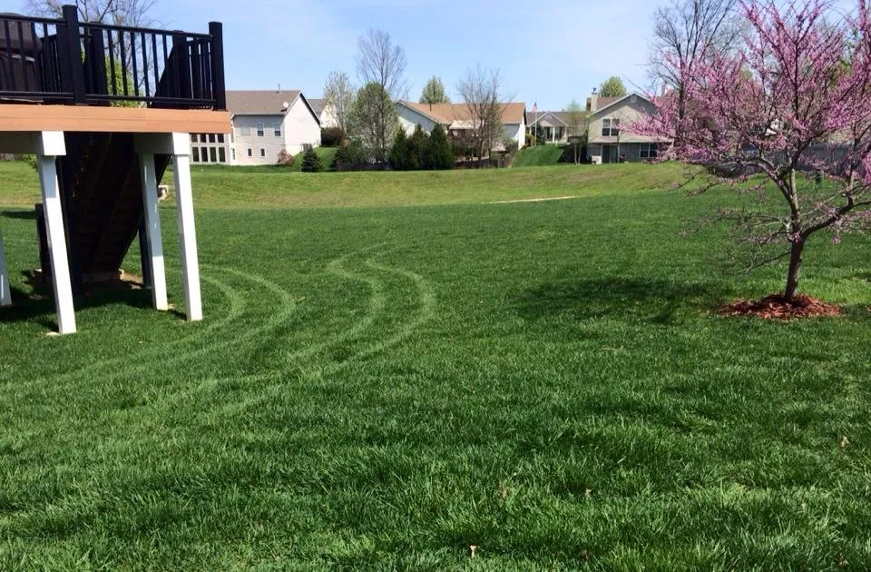 Custom yard cleanup service for outdoor upgrades across Wentzville, MO - Refresh Outdoor Services