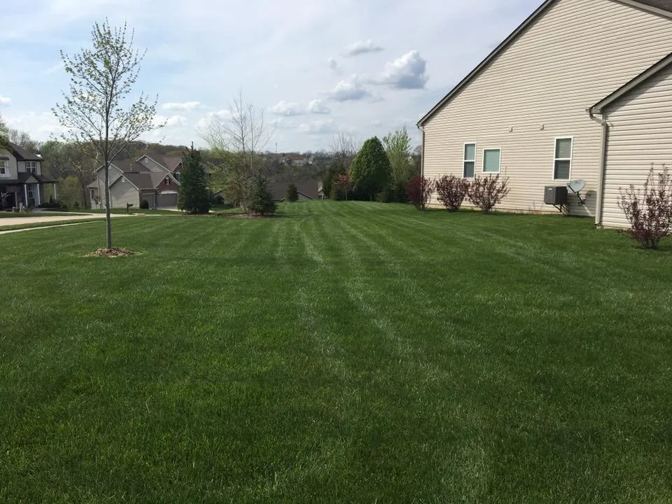 Reliable landscape design experts serving Wentzville, MO - Refresh Outdoor Services