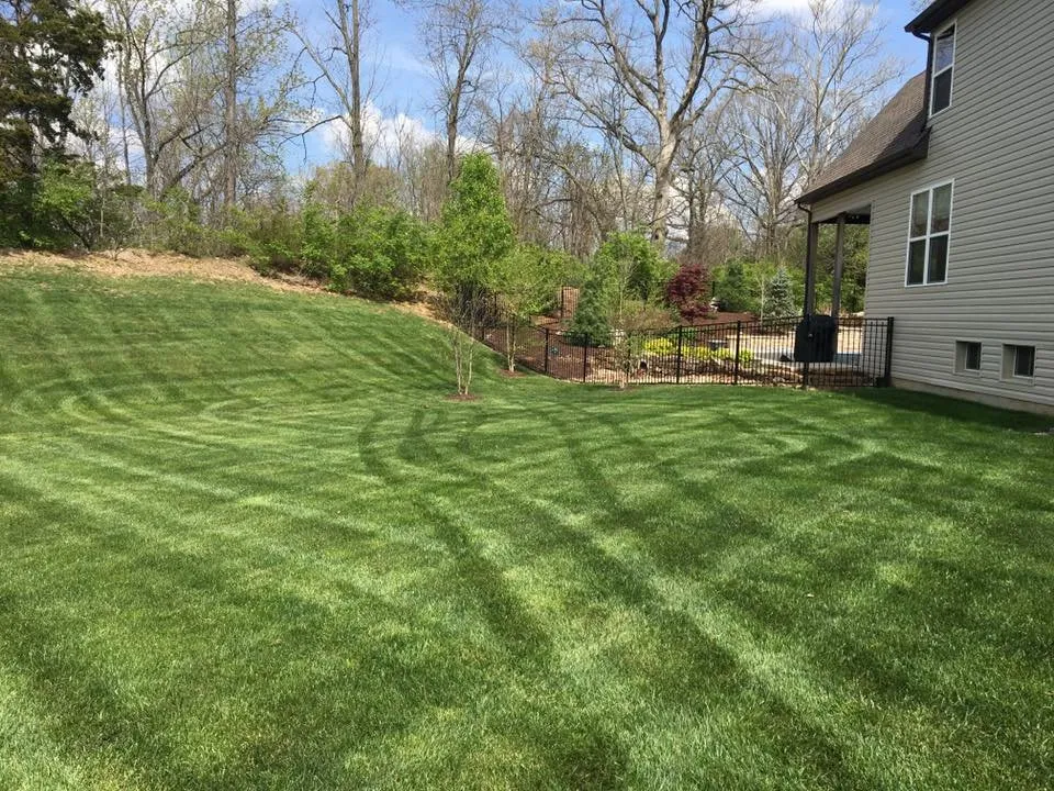 Reliable residential landscaping for beautiful yards across Wentzville, MO - Refresh Outdoor Services