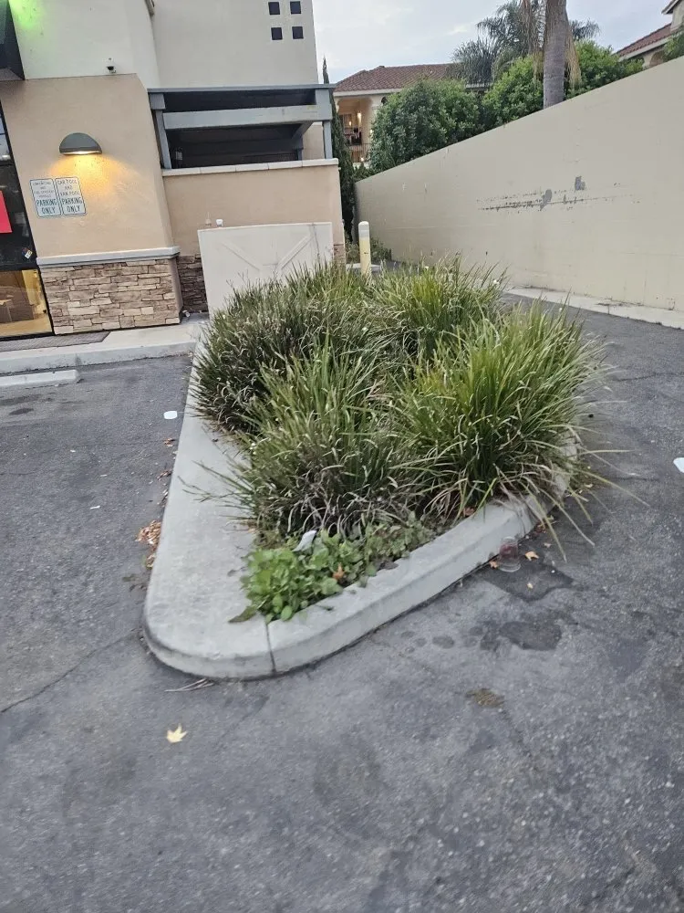 Top-rated garden landscaping for residential properties across Moreno Valley, CA - Refugio Landscape