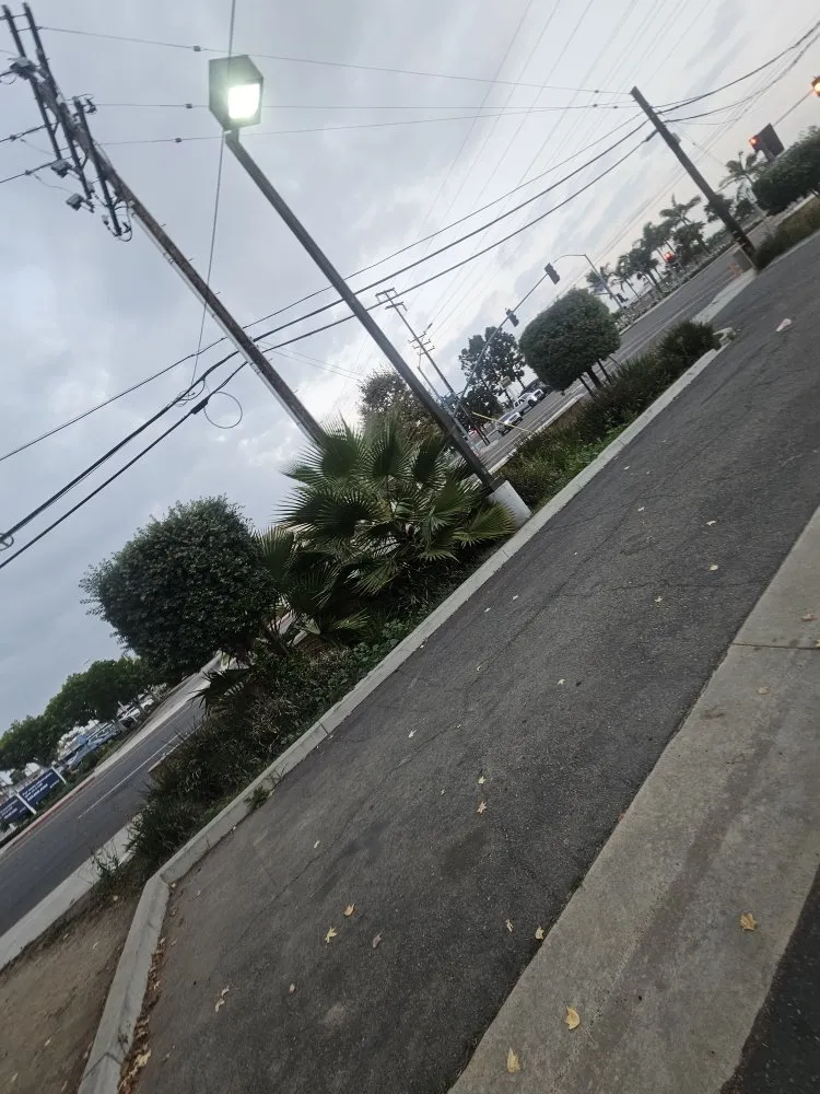 Custom landscape installation in Moreno Valley, CA by Refugio Landscape