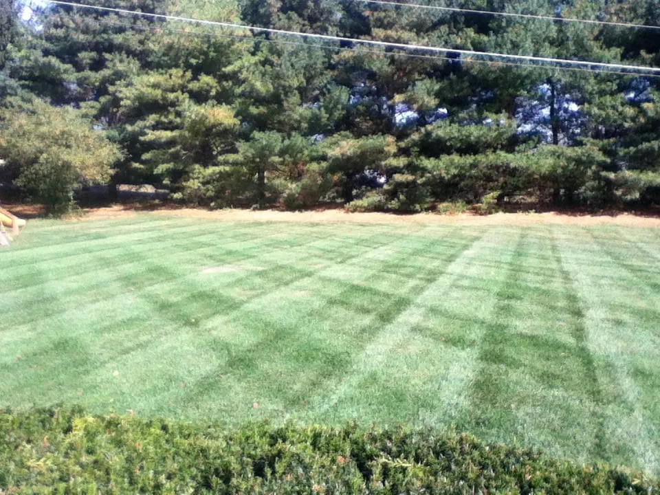 Professional landscaping services in Wescosville, PA by Regal Landscapes