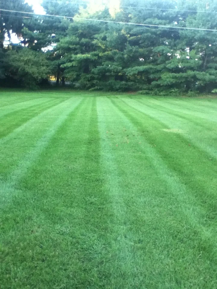 Local residential landscaping in Wescosville, PA - Regal Landscapes