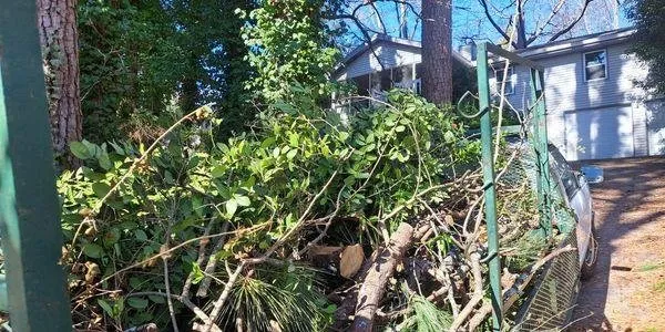 Trusted landscaping services for homes in Stone Mountain, GA by Regal Landscaping Group