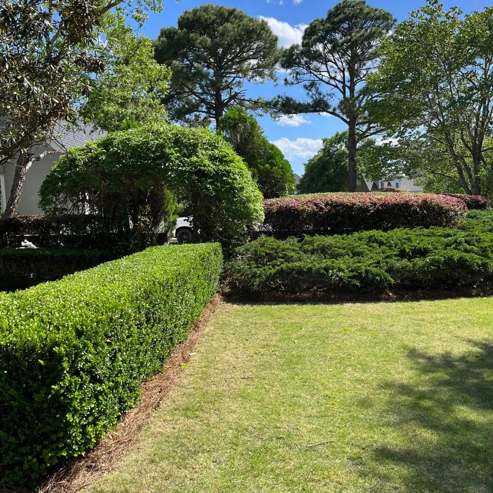 Expert lawn care service in Hampstead, NC - Regal Lawn Care