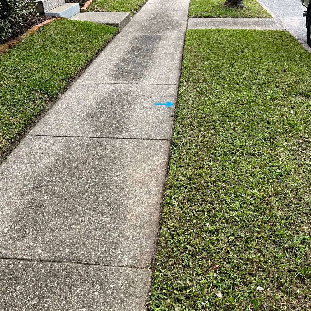 Local lawn care service for residential properties across Hampstead, NC - Regal Lawn Care