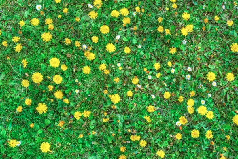 Custom outdoor landscaping near you across Suffern, NY - Regal Lawns of Rockland