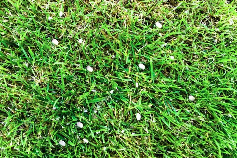 Reliable landscape installation for homes in Suffern, NY by Regal Lawns of Rockland