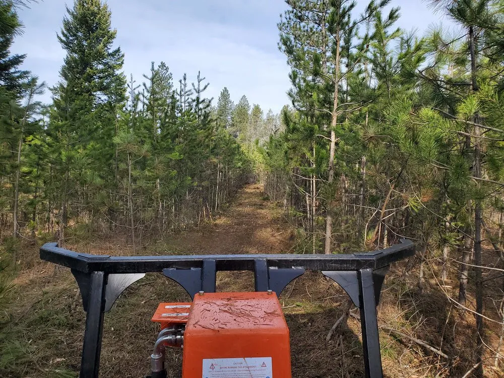 Affordable yard cleanup service in Coeur d'Alene, ID - Regal Mountain Forest Management