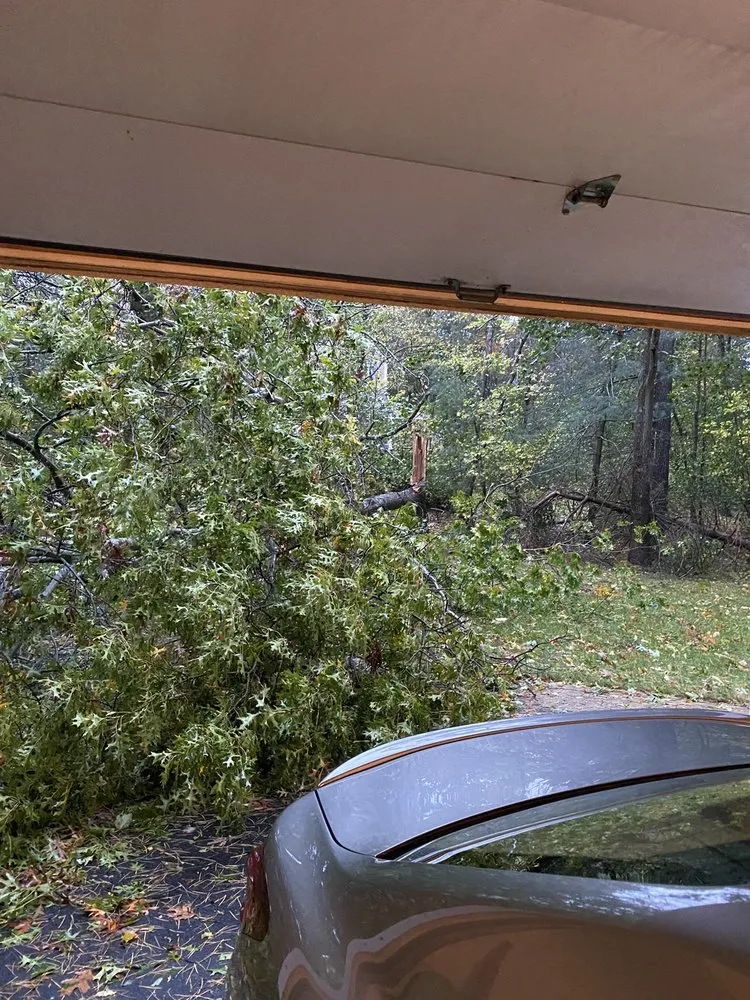 Top-rated landscaping services for outdoor upgrades across South Easton, MA - Regal Tree & Shrub Experts