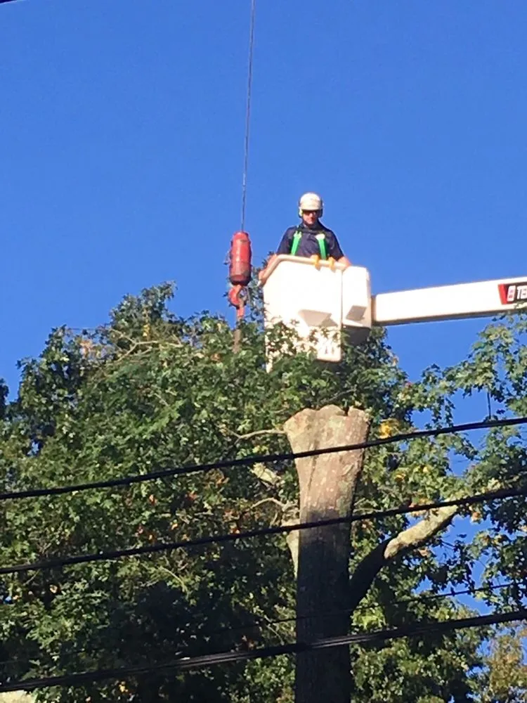 Custom residential landscaping in South Easton, MA by Regal Tree & Shrub Experts