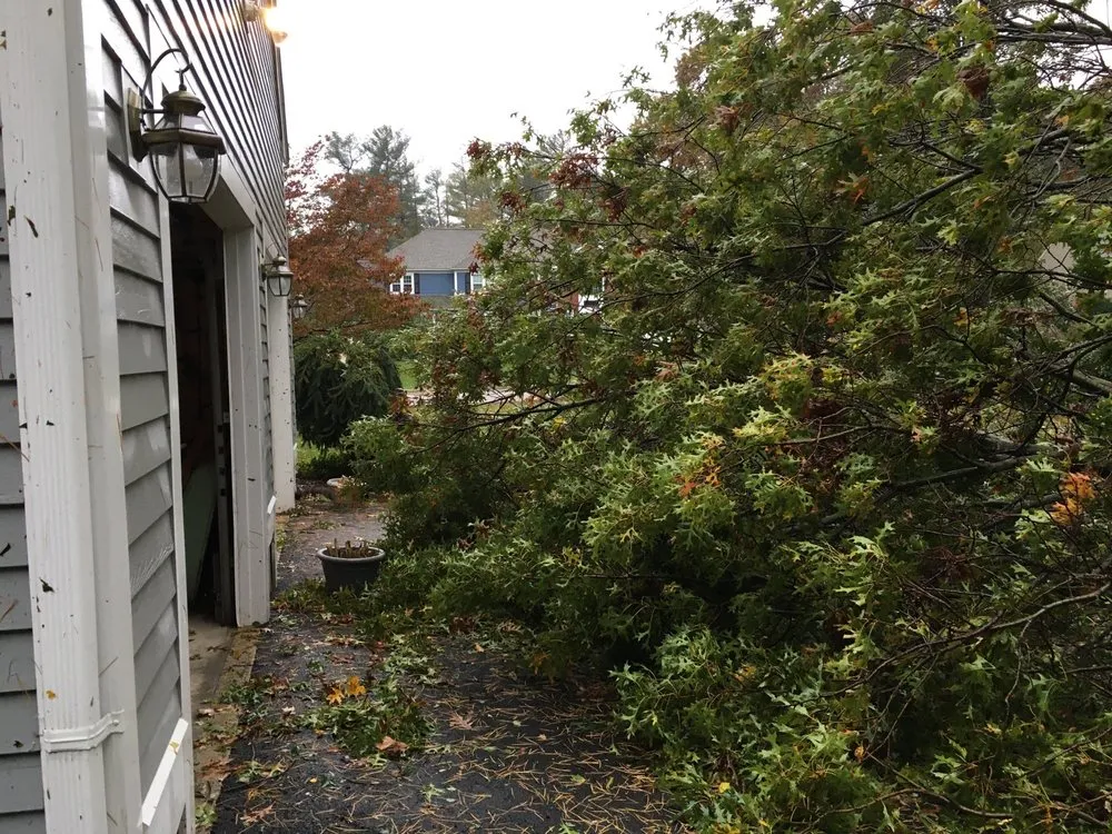 Professional landscape installation in South Easton, MA by Regal Tree & Shrub Experts