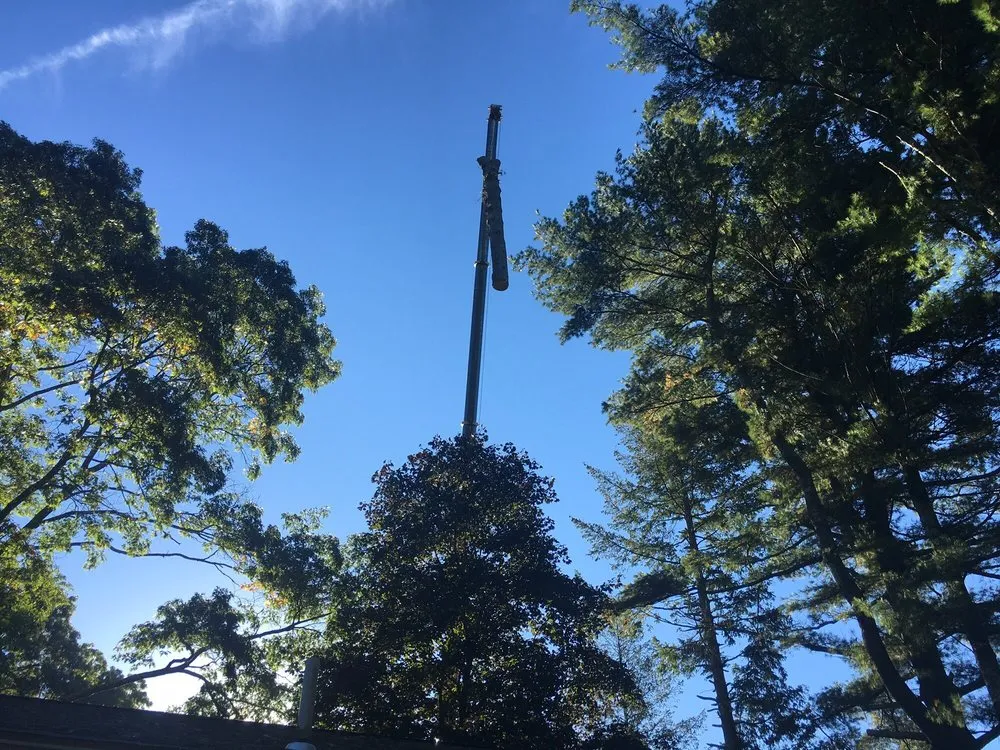 Custom lawn care service near you across South Easton, MA - Regal Tree & Shrub Experts