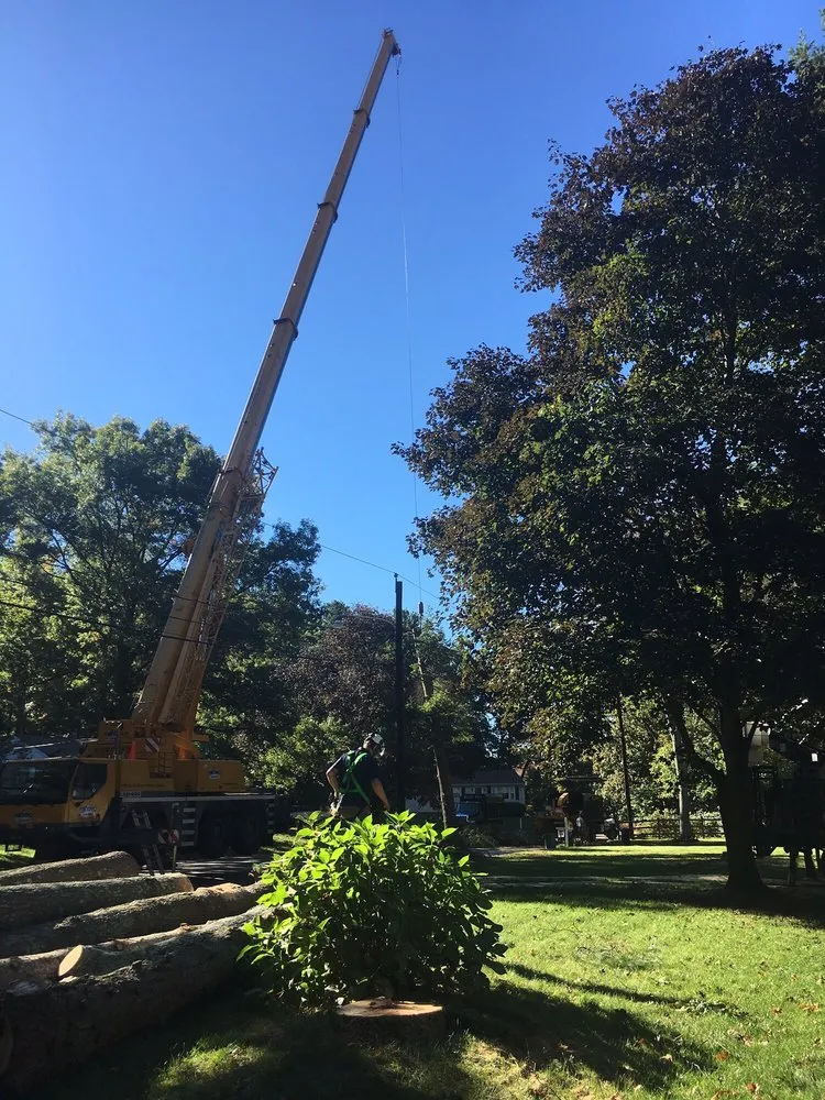 Expert landscape design for outdoor upgrades across South Easton, MA - Regal Tree & Shrub Experts