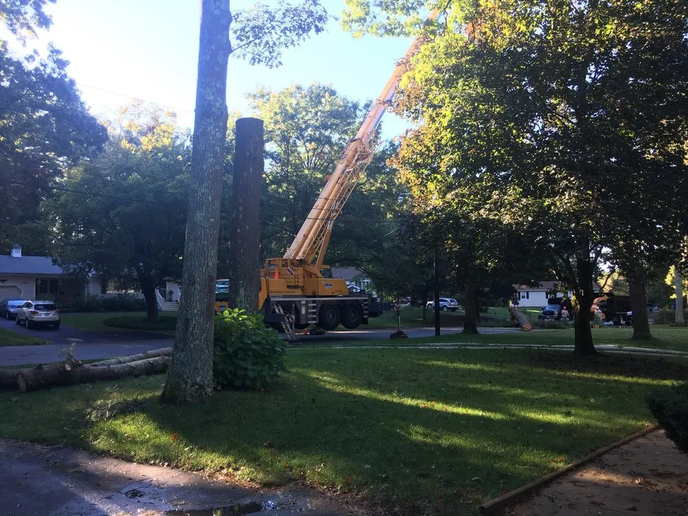 Trusted lawn mowing service in South Easton, MA by Regal Tree & Shrub Experts