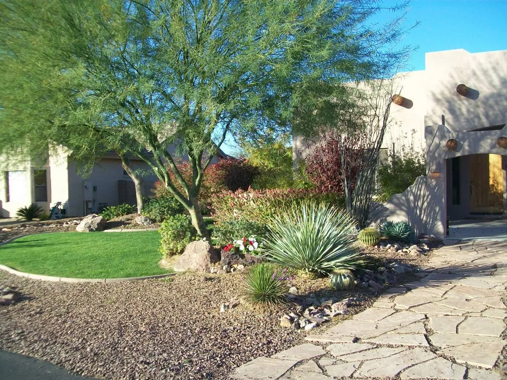Local residential landscaping in Litchfield Park, AZ by Regal Valley Landscaping