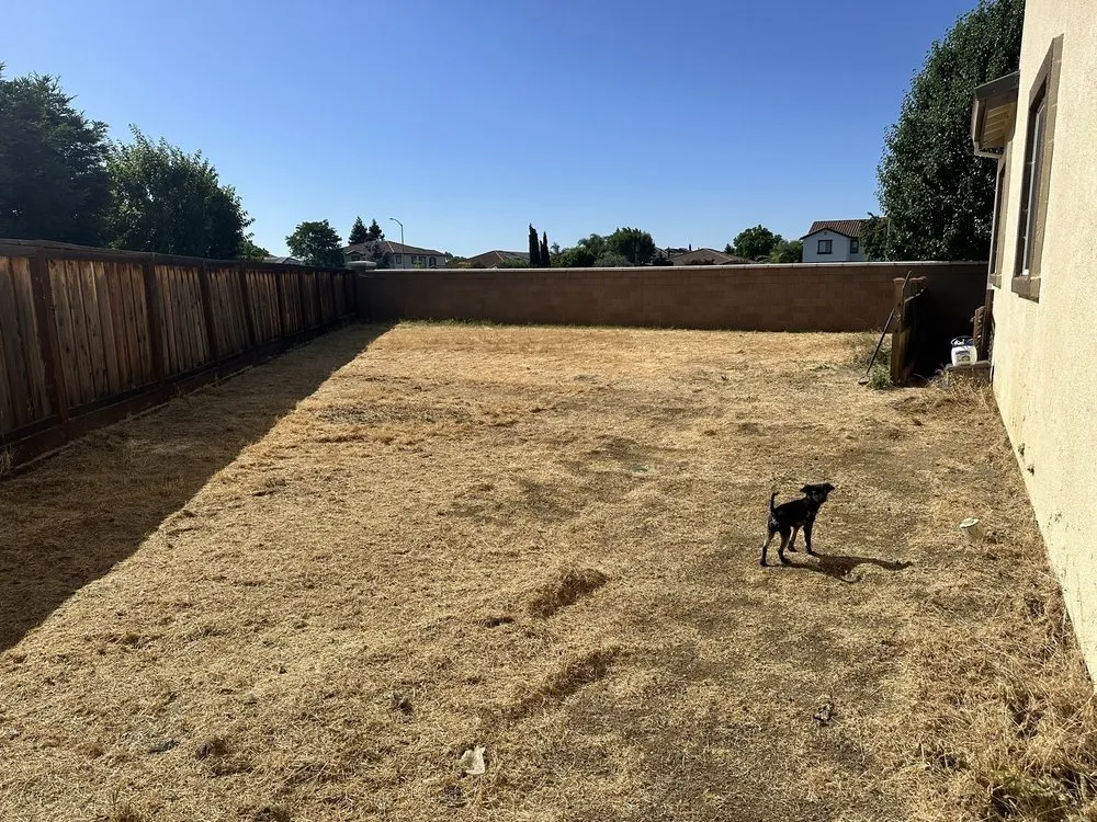 Trusted landscaping services for homes in Antioch, CA by Regalado Landscape