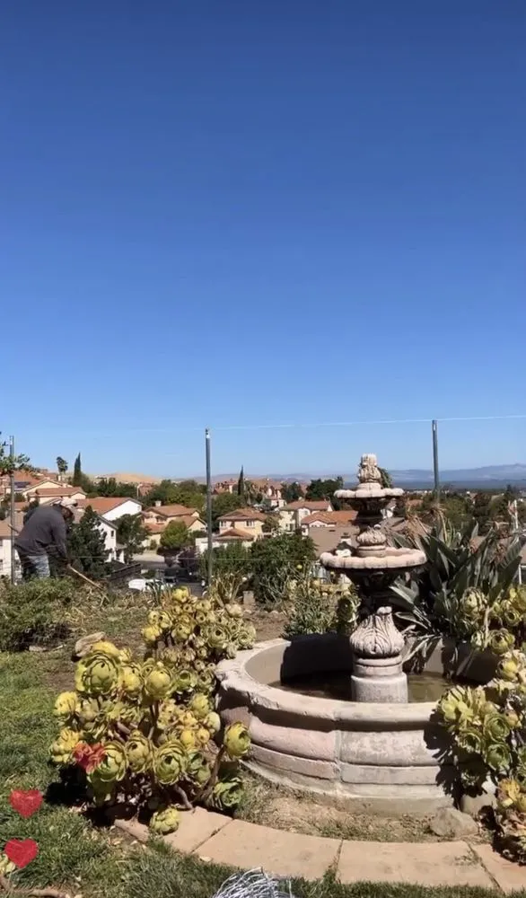 Top-rated yard maintenance for residential properties across Antioch, CA - Regalado Landscape