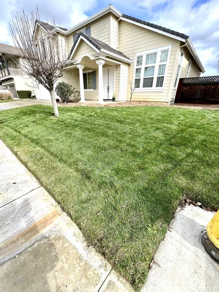 Local lawn mowing service in Antioch, CA - Regalado Landscape