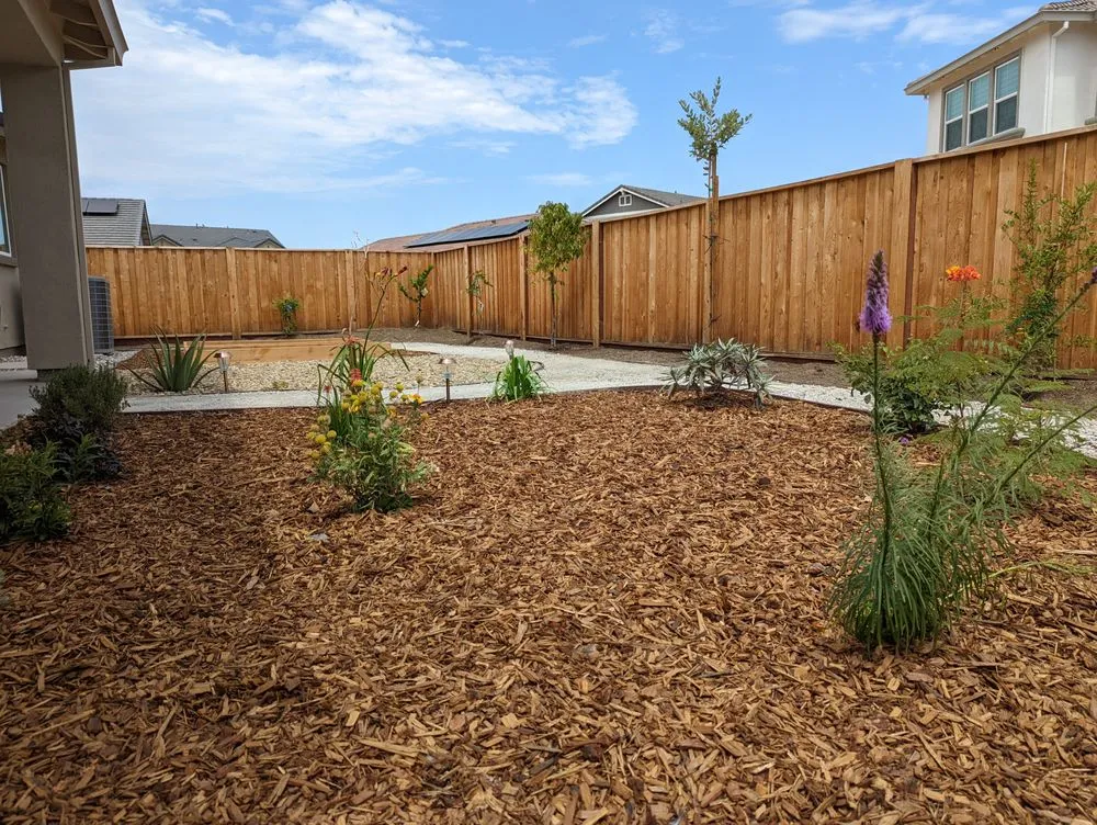 Trusted yard maintenance in Antioch, CA - Regalado Landscape