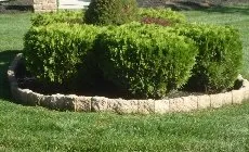 Professional yard maintenance with custom design across Bridgeton, NJ - Regalbuto Landscaping