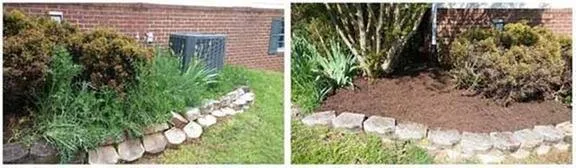 Reliable lawn care service for residential properties in Bedford, VA by Regan Home Services