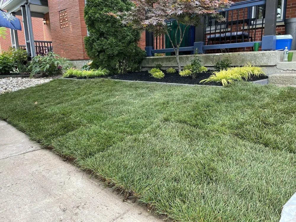 Professional yard maintenance for outdoor upgrades in Clarence Center, NY by Regan Landscape