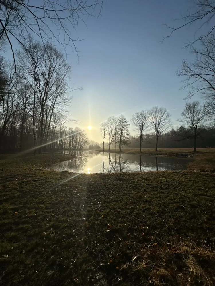 Reliable landscape installation with custom design across Pine Bush, NY - Regelski Land Development