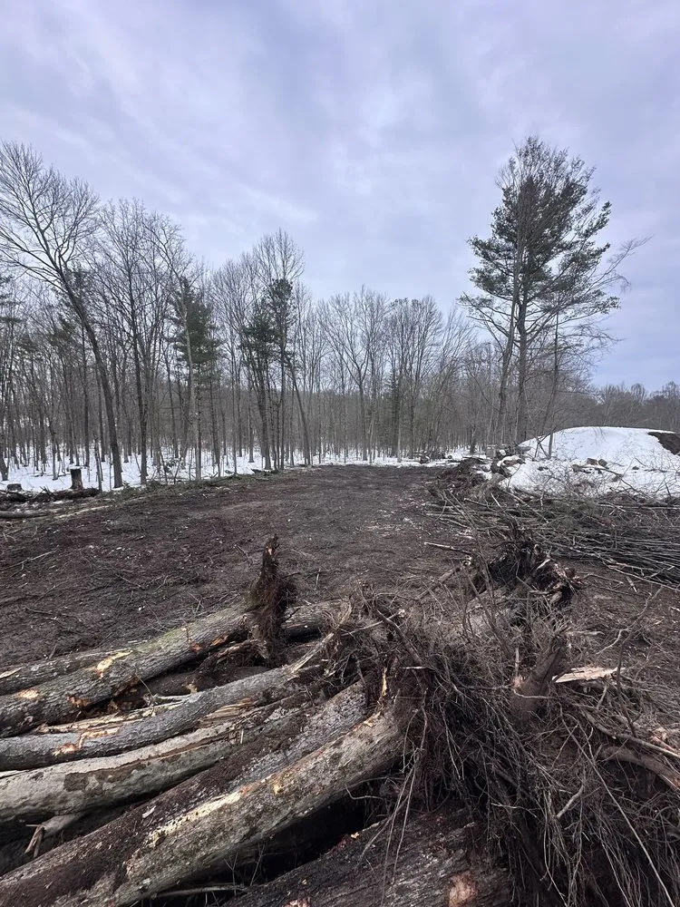 Expert yard maintenance experts serving Pine Bush, NY - Regelski Land Development