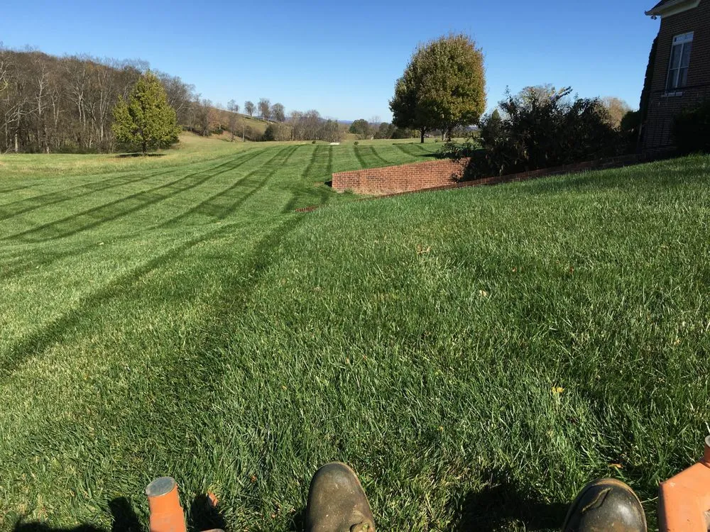 Custom landscape installation in Spring Hill, TN by ReGen Turf and Irrigation