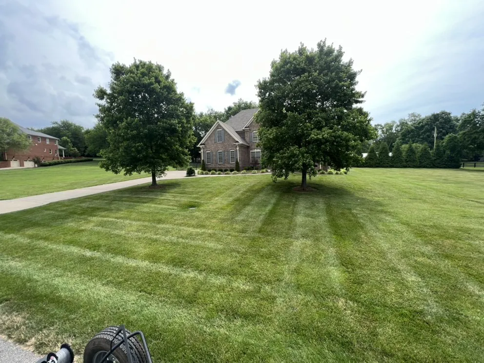 Trusted outdoor landscaping in Spring Hill, TN by ReGen Turf and Irrigation