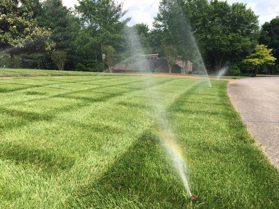 Custom garden landscaping in Spring Hill, TN by ReGen Turf and Irrigation