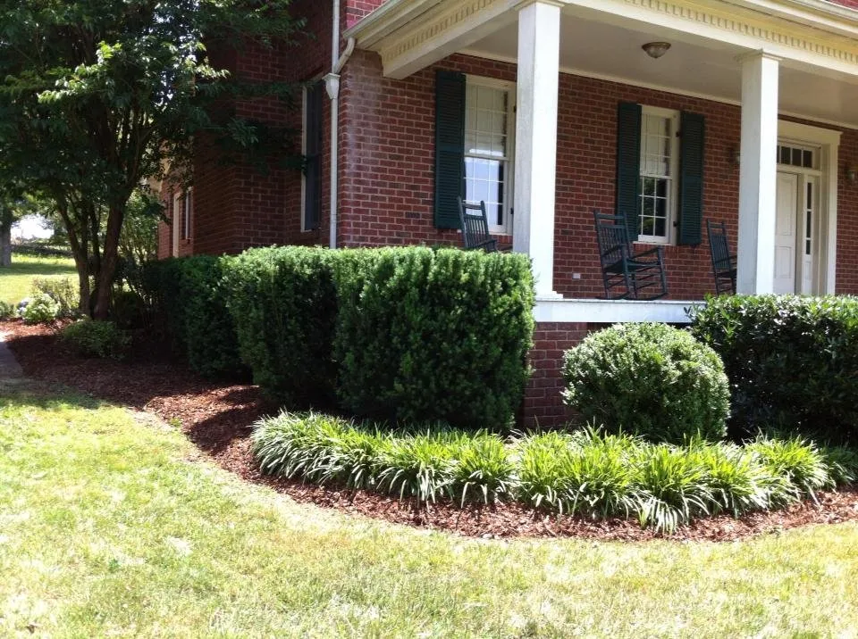 Reliable garden landscaping experts serving Spring Hill, TN - ReGen Turf and Irrigation