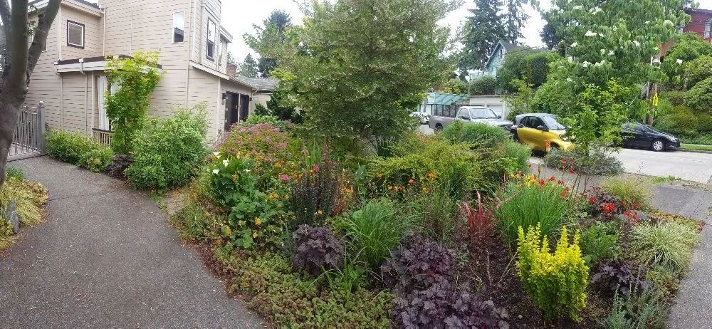 Trusted garden landscaping for residential properties in Seattle, WA by Regeneration Landscaping