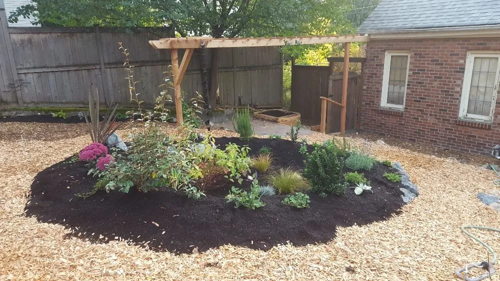 Reliable landscape design in Seattle, WA - Regeneration Landscaping