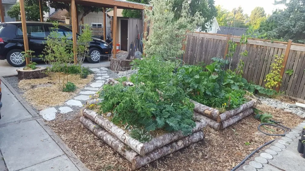 Trusted landscaping services in Seattle, WA - Regeneration Landscaping