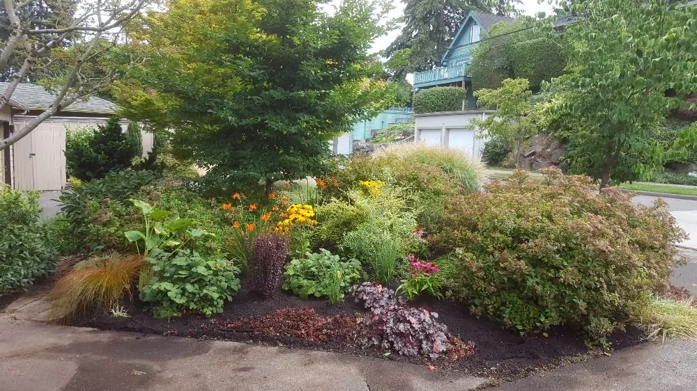 Top-rated yard maintenance for year-round maintenance in Seattle, WA by Regeneration Landscaping