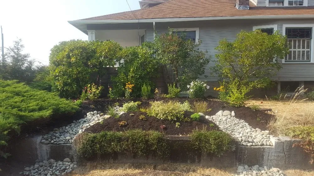 Local lawn care service in Seattle, WA by Regeneration Landscaping