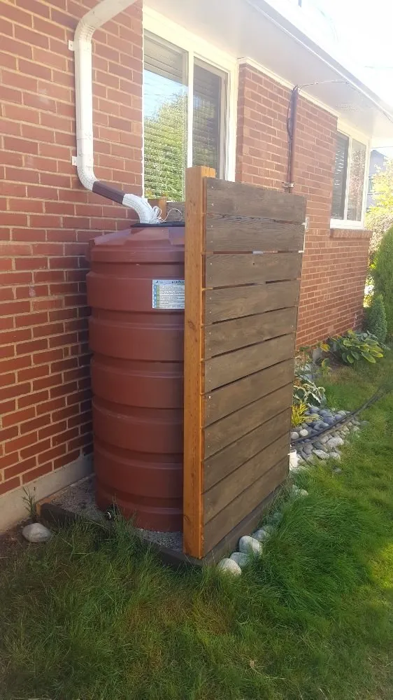 Top-rated lawn care service in Seattle, WA - Regeneration Landscaping