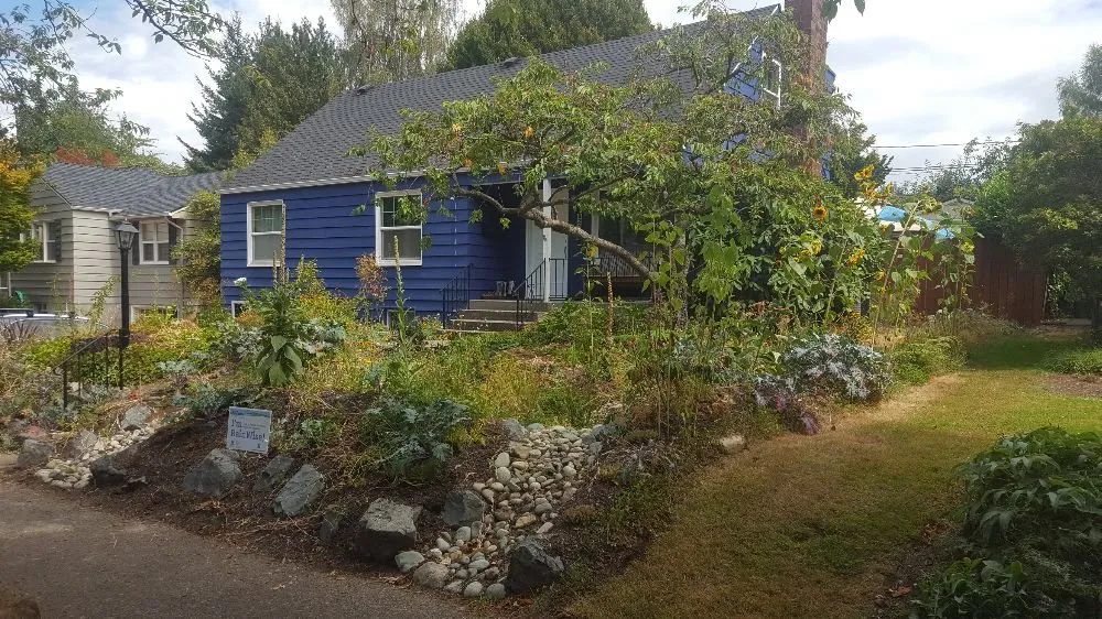 Local yard cleanup service with custom design across Seattle, WA - Regeneration Landscaping