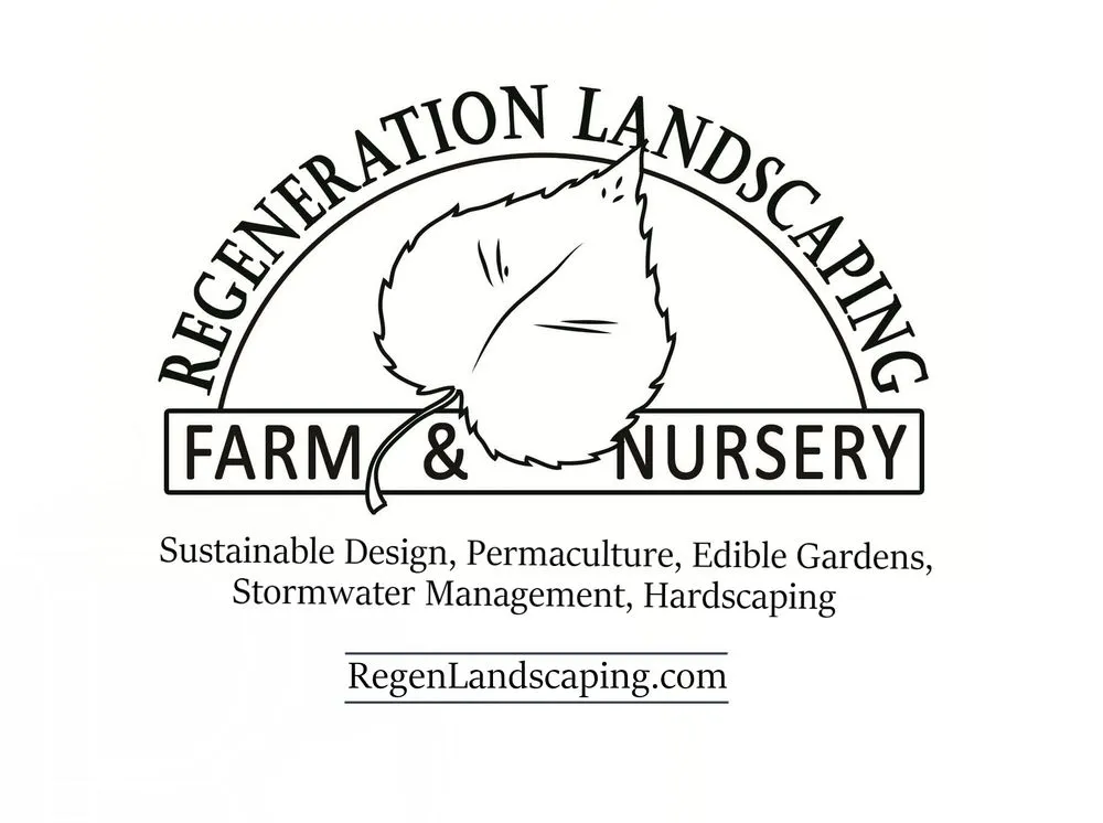 Local landscaping services in Seattle, WA - Regeneration Landscaping
