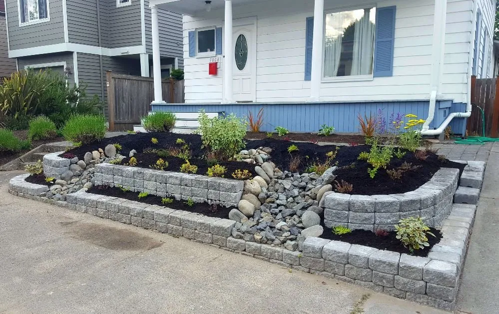 Professional yard maintenance in Seattle, WA - Regeneration Landscaping