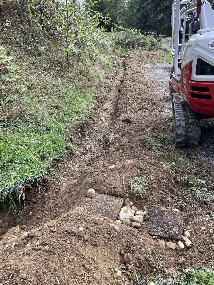 Trusted lawn care service in Duvall, WA - Regenerative Earthworks