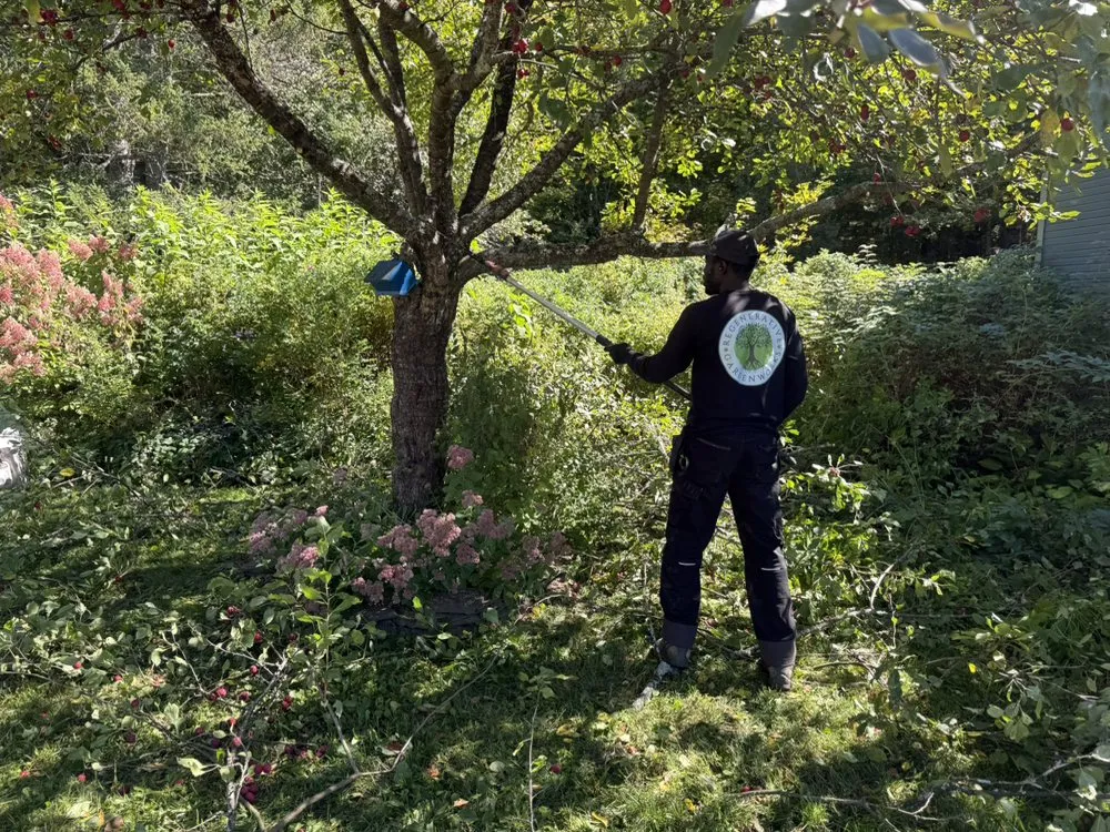 Top-rated landscape design in Franconia, NH by Regenerative Gardenworks