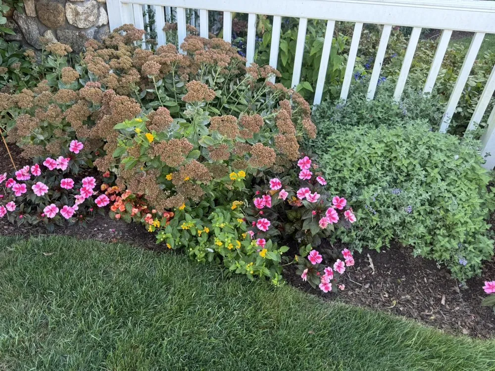 Affordable lawn care service in Franconia, NH by Regenerative Gardenworks