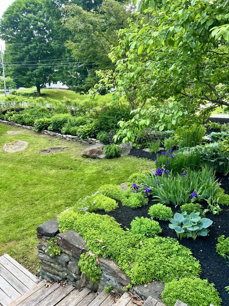 Affordable landscape installation in Saint Johnsbury, VT by Regenerative Gardenworks