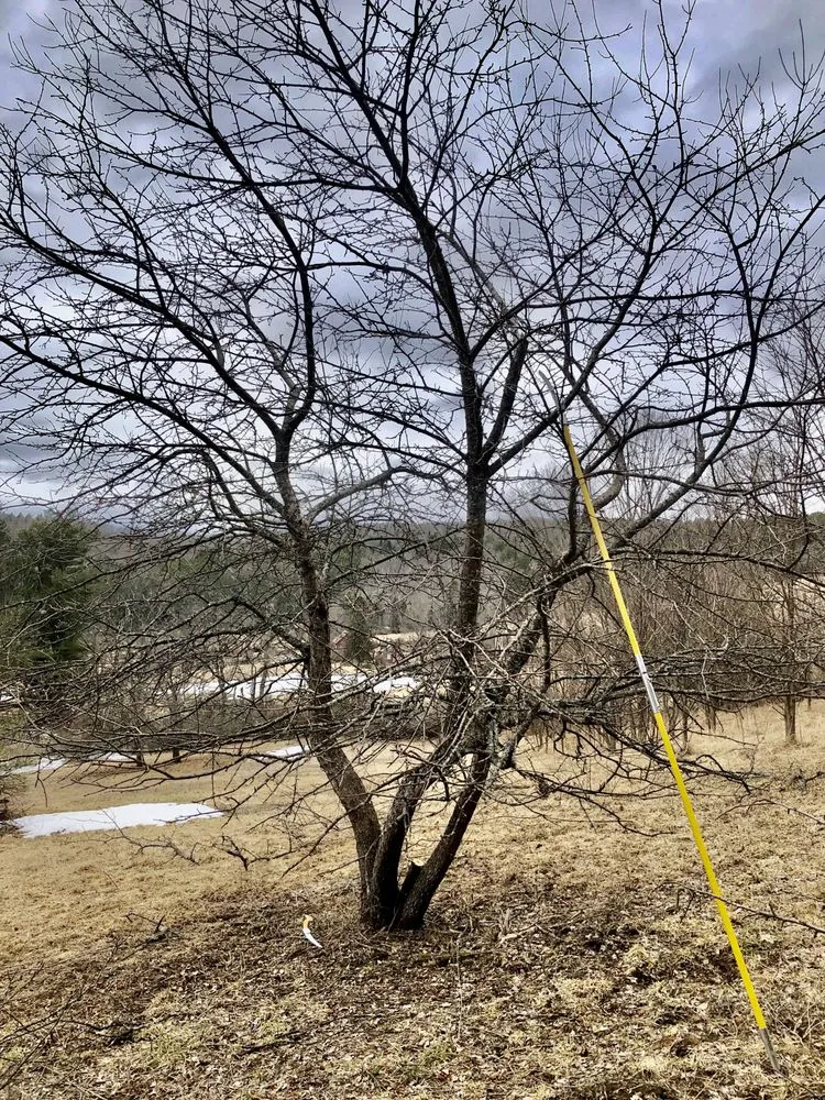 Local landscape installation in Saint Johnsbury, VT by Regenerative Gardenworks