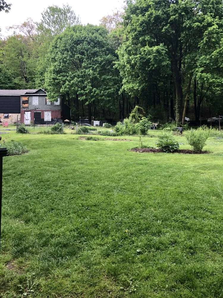 Reliable lawn mowing service for homes in Jim Thorpe, PA by Regenerative Land Services