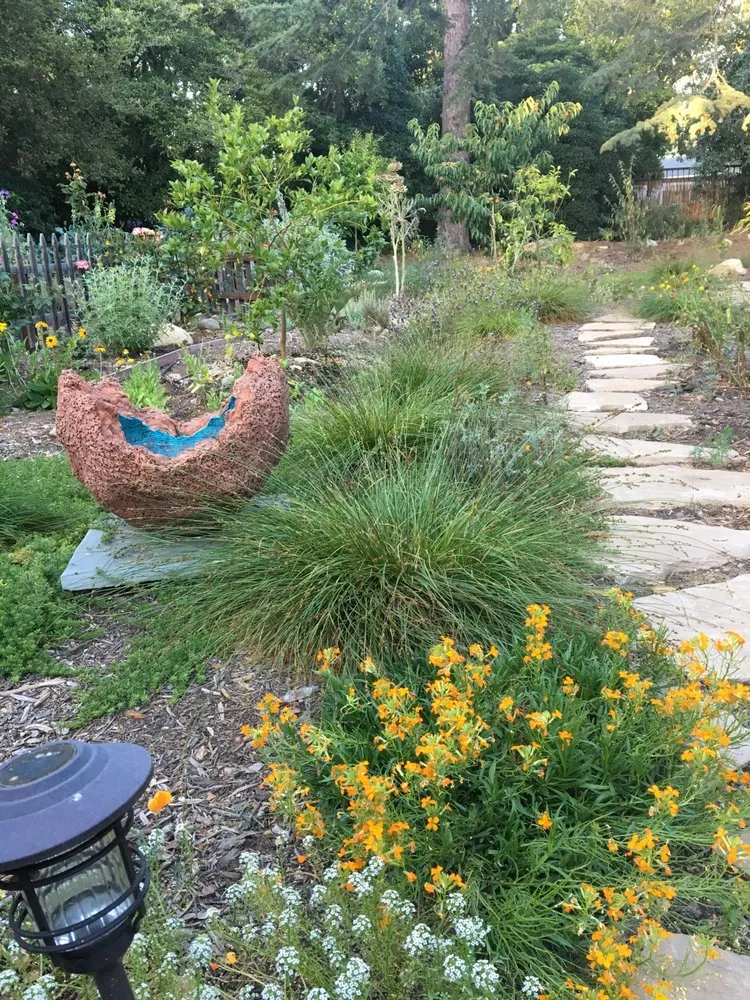 Local outdoor landscaping in Santa Barbara, CA by Regenerative Landscape Alliance